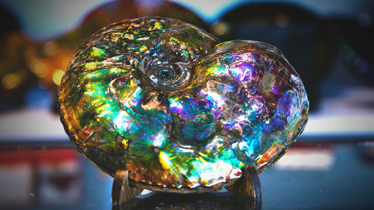 Origins of Ammolite: A Fascinating History of a Rare Gemstone